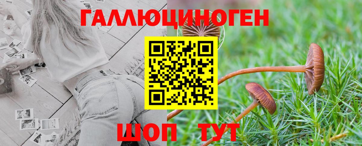 Омск  Галлюциногенные грибы ЛСД  Вход с VPN  Псилоцибиновые грибы MAGIC MUSHROOMS 